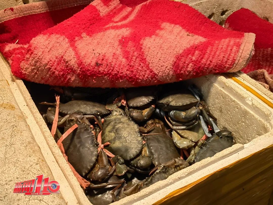 黄瓜视频在线观看:海鲜贼最新,黄瓜视频在线观看,海鲜贼最新动态 黄瓜视频在线观看:海鲜贼最新,黄瓜视频在线观看,海鲜贼最新动态