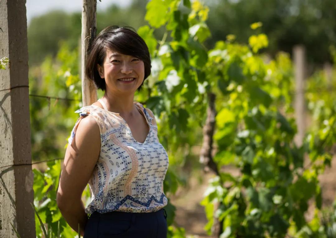 国产精品青青在线麻豆:11-20-22-31-39-46S：48,探索国产精品青青在线麻豆的独特魅力，一场视觉与精神的盛宴