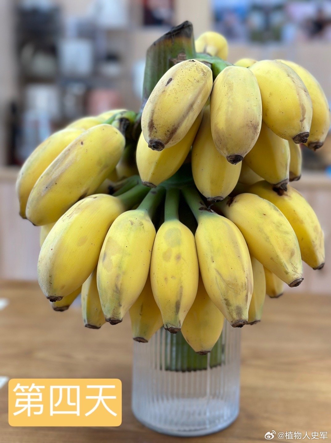 7777精品久久久大香线蕉:03-12-15-20-35-43R:03,探索数字世界的神秘魅力,7777精品久久久与独特符号的解读 7777精品久久久大香线蕉:03-12-15-20-35-43R:03,探索数字世界的神秘魅力,7777精品久久久与独特符号的解读