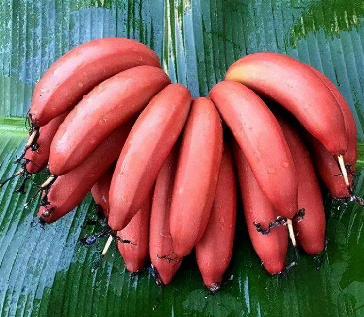 7777精品久久久大香线蕉:03-12-15-20-35-43R:03,探索数字世界的神秘魅力,7777精品久久久与独特符号的解读 7777精品久久久大香线蕉:03-12-15-20-35-43R:03,探索数字世界的神秘魅力,7777精品久久久与独特符号的解读