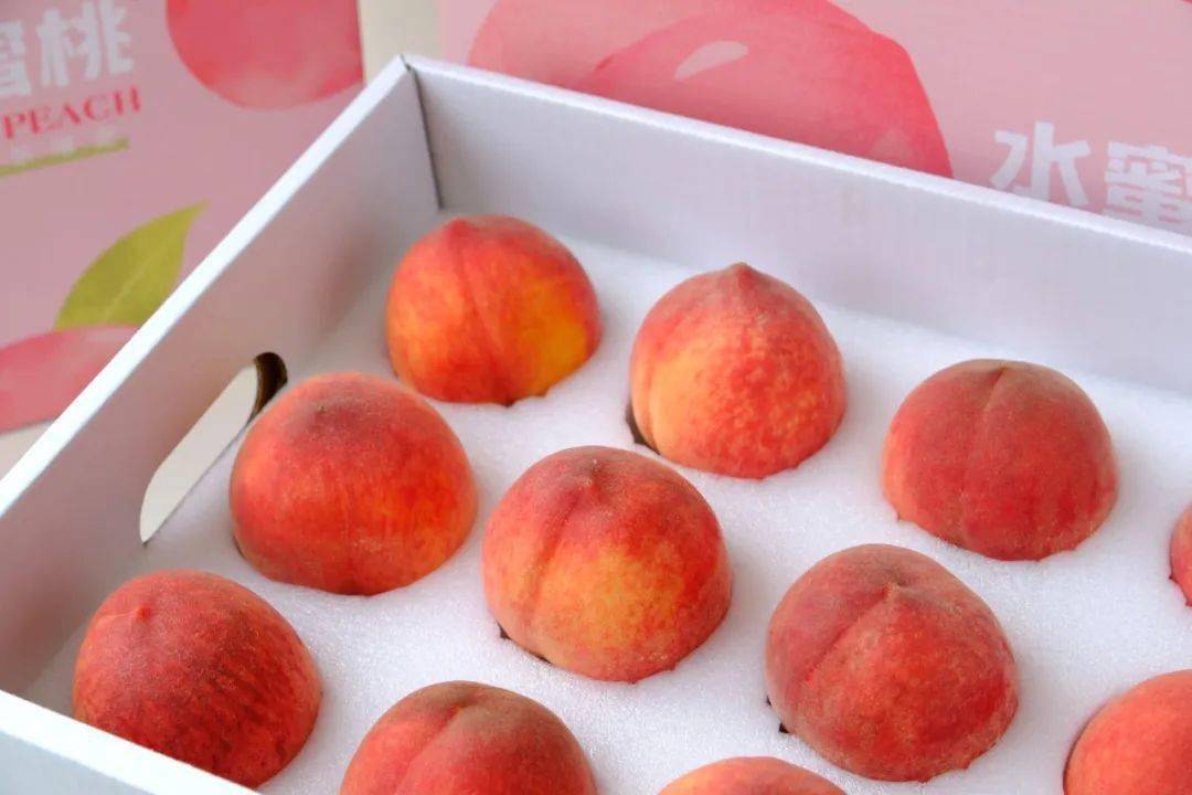 久久99精品久久久久久水蜜桃:13-16-29-30-31-33R:23,久久99精品久久久久久水蜜桃,一种独特美味的水果体验 久久99精品久久久久久水蜜桃:13-16-29-30-31-33R:23,久久99精品久久久久久水蜜桃,一种独特美味的水果体验