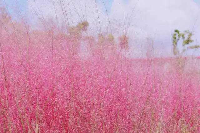 久久国产乱子伦精品免费午夜:17-20-24-30-32-49G:46,久久国产乱子伦精品探索与赏析,免费午夜的独特魅力 久久国产乱子伦精品免费午夜:17-20-24-30-32-49G:46,久久国产乱子伦精品探索与赏析,免费午夜的独特魅力