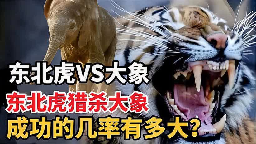 四虎成人欧美精品在永久在线:02-13-17-39-41-49T:02,四虎成人欧美精品的永久在线魅力,探索02系列的新视界 四虎成人欧美精品在永久在线:02-13-17-39-41-49T:02,四虎成人欧美精品的永久在线魅力,探索02系列的新视界