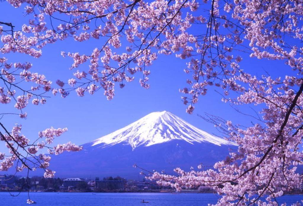 日本道免费精品一区二区:02-07-13-14-30-32C:31,日本道免费精品一区二区,探索日本文化的独特魅力与区域特色(02-07-13-14-30-32C,31) 日本道免费精品一区二区:02-07-13-14-30-32C:31,日本道免费精品一区二区,探索日本文化的独特魅力与区域特色(02-07-13-14-30-32C,31)