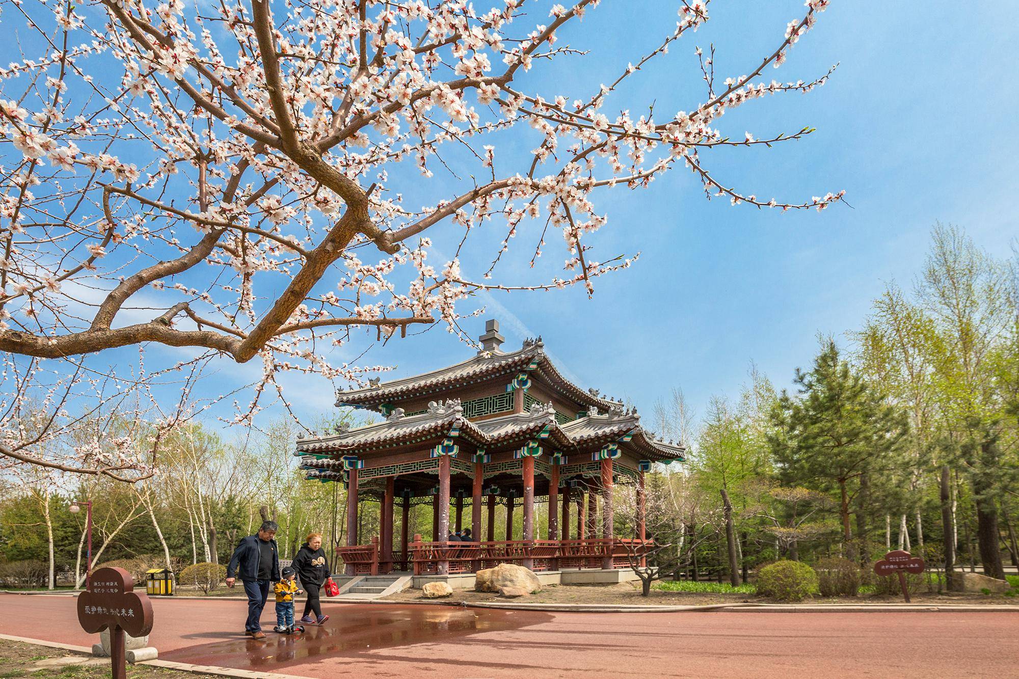 色窝窝免费一区二区三区:06-07-21-27-30-39A：19,探索色窝窝免费一区二区三区，深度解读与体验分享（06-07-21-27-30-39A篇）