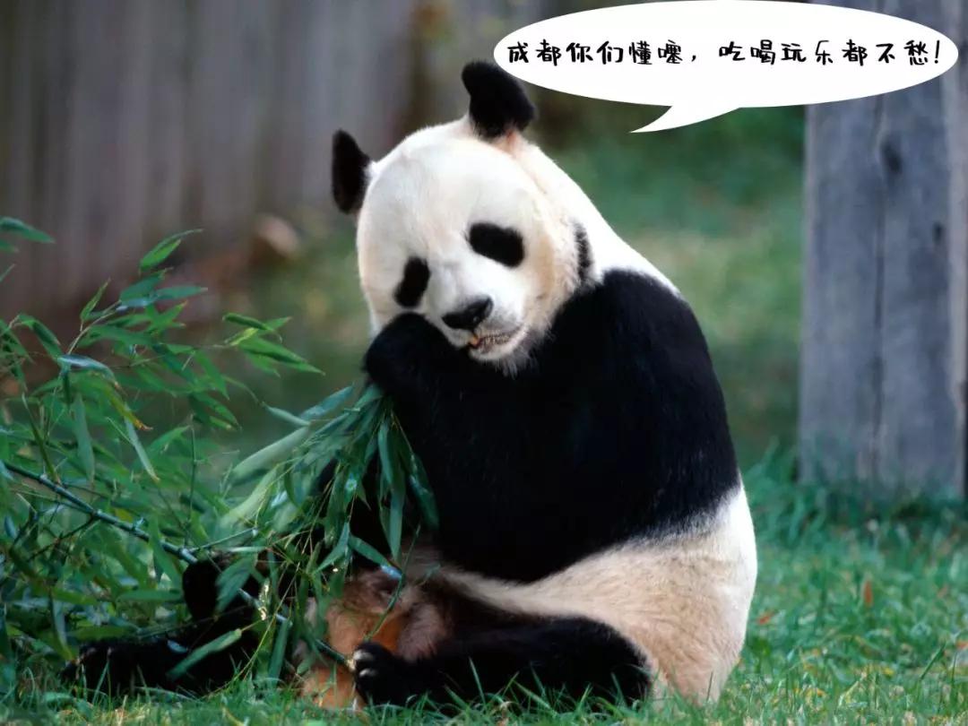 四虎国产精品永久一区高清:01-13-25-34-37-48T：25,关于四虎国产精品永久一区高清的探讨