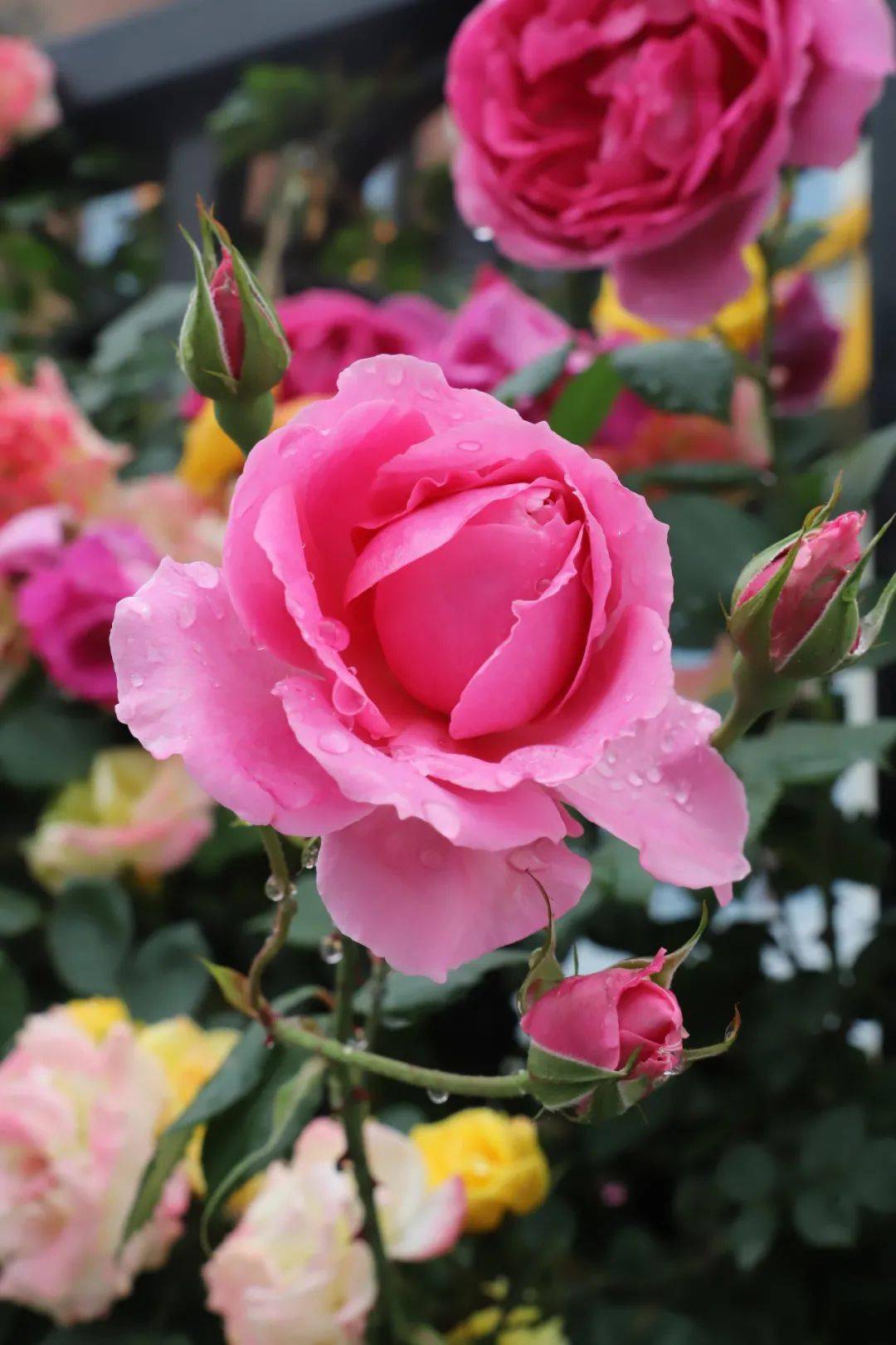 久久婷婷色综合一区二区:12-18-24-30-31-45B:41,久久婷婷色综合一区二区,探索数字背后的多彩世界 久久婷婷色综合一区二区:12-18-24-30-31-45B:41,久久婷婷色综合一区二区,探索数字背后的多彩世界