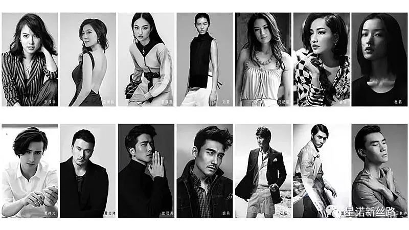 麻豆成人无码区免费A∨视频在线:02-13-14-17-29-48K：31,探索麻豆成人无码区，免费A∨视频在线观看的新体验